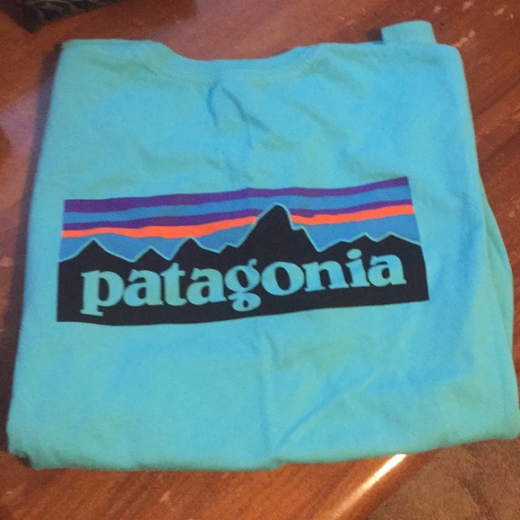 Patagonia Tops - Beautiful and soft Patagonia t shirt